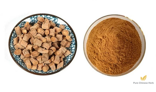 Radix Achyranthis Bidentatae Extract 20:1 | Twotooth Achyranthes Root | Niu Xi Gen-Pure Chinese Herb™