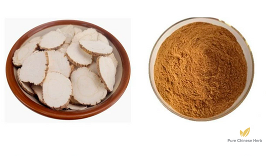 Radix Angelicae Dahuricae Extract 20:1 | Dahurian Angelica Root Extract | Bai Zhi-Pure Chinese Herb™