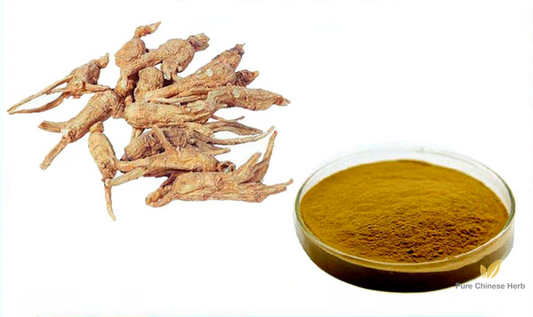 Radix Angelicae Sinensis Extract 20:1 | Chinese Angelica Extract | Dang Gui-Pure Chinese Herb™