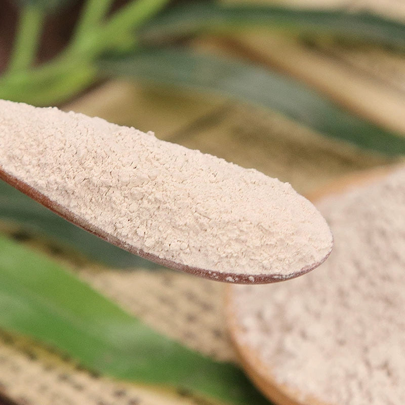 Radix Angelicae Sinensis Powder Chinese Angelica Herb Powder Dang Gui Fen-Pure Chinese Herb™