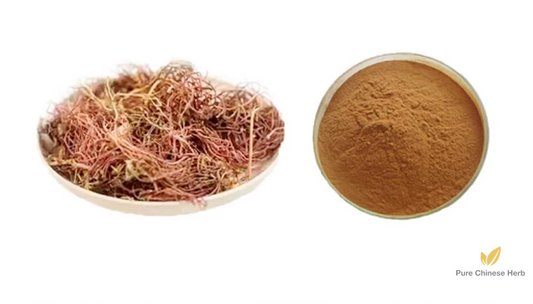 Radix Asteris Extract 20:1 | Tatarian Aster Root | Zi Wan Gen-Pure Chinese Herb™