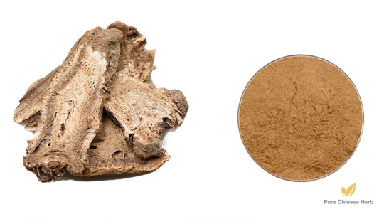 Radix Aucklandiae Extract 20:1 | Costustoot Extract | Mu Xiang-Pure Chinese Herb™