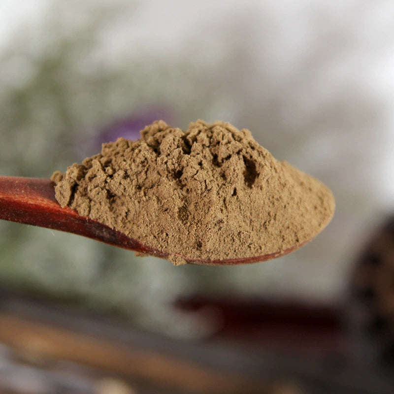 Radix Aucklandiae Powder Costustoot Herb Powder Mu Xiang Fen-Pure Chinese Herb™