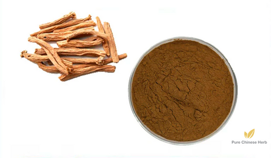 Radix Bupleuri Extract 20:1 | Red Thorowax Root Extract | Chai Hu-Pure Chinese Herb™