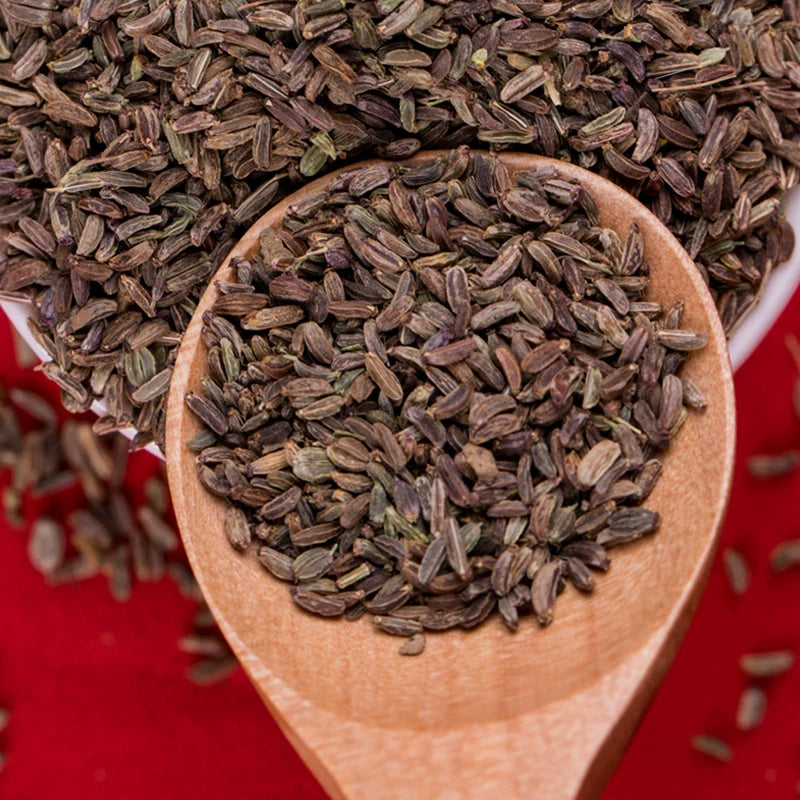 Radix Bupleuri Seeds | Bupleurum Chinense | Thorowax Chai Hu | 200pcs/bag-Pure Chinese Herb™