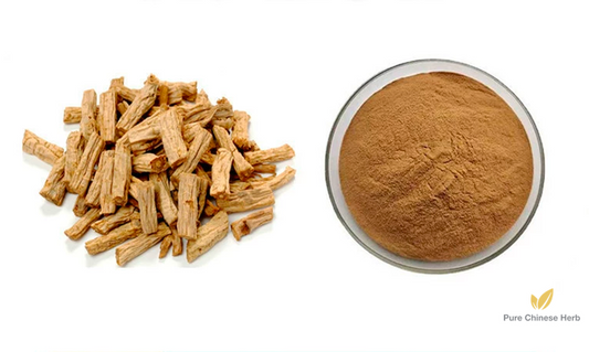 Radix Codonopsis Extract 20:1 | Szechwon Tangshen Root Extract | Dang Shen-Pure Chinese Herb™