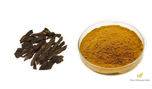 Radix Dipsaci Extract 20:1 | Himalayan Teasel Root | Xu Duan-Pure Chinese Herb™