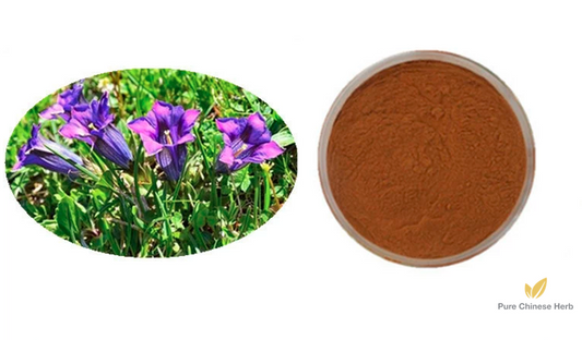 Radix Gentianae Extract 20:1 | Chinese Gentian | Long Dan-Pure Chinese Herb™