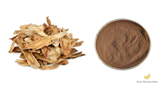 Radix Gentianae Macrophyllae Extract 20:1 | Largeleaf Gentian Root Extract | Qin Jiao-Pure Chinese Herb™