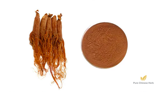 Radix Ginseng Rubra Extract 20:1 | Red Ginseng Extract | Hong Shen-Pure Chinese Herb™