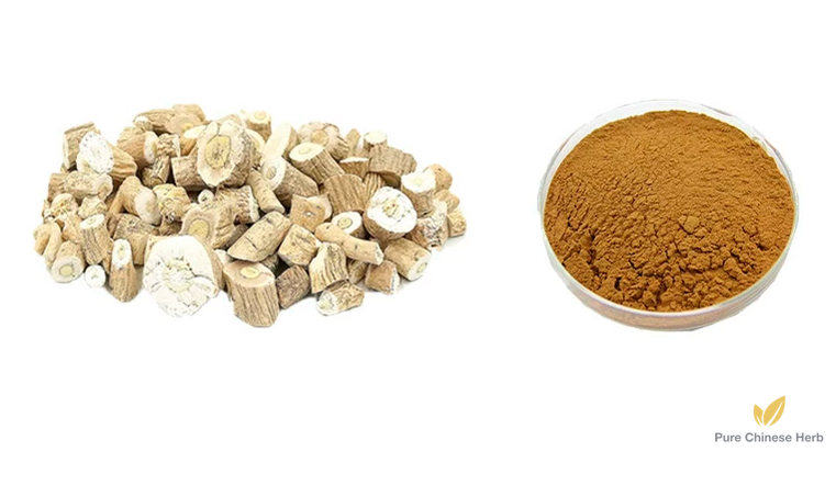 Radix Isatidis Extract 20:1 | Indigowoad Root Extract | Ban Lan Gen-Pure Chinese Herb™