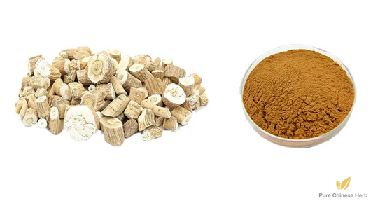 Radix Isatidis Extract 20:1 | Indigowoad Root Extract | Ban Lan Gen-Pure Chinese Herb™