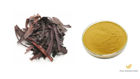 Radix Lithospermi Extract 20:1 | Sinkiang Arnebia Root | Zi Cao Gen-Pure Chinese Herb™