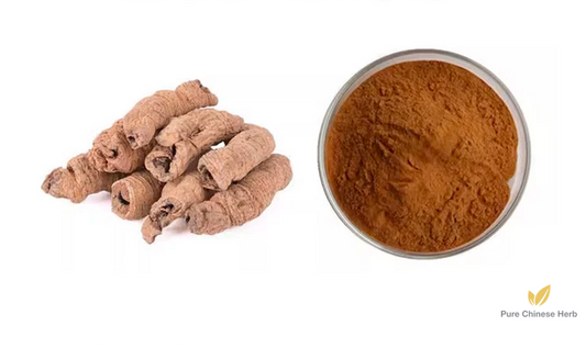Radix Morindae Officinalis Extract 20:1 | Medicinal Indianmulberry Root Extract | Ba Ji Tian-Pure Chinese Herb™