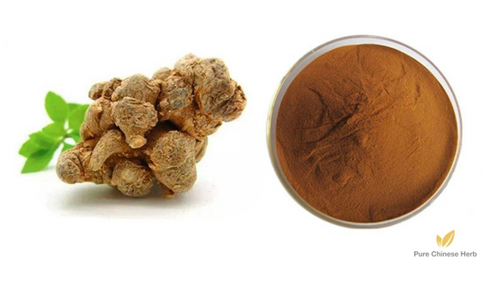 Radix Notoginseng Extract 10:1 | Pseudoginseng Root | San Qi-Pure Chinese Herb™