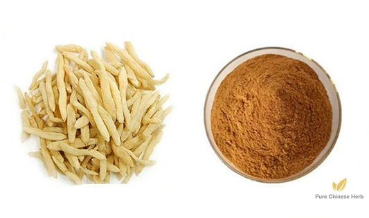 Radix Ophiopogonis Extract 20:1 | Dwarf Lilyturf Tuber Extract | Mai Dong-Pure Chinese Herb™