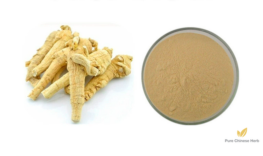 Radix Panacis Quinquefolii Extract 20:1 | American Ginseng Extract | Xi Yang Shen-Pure Chinese Herb™