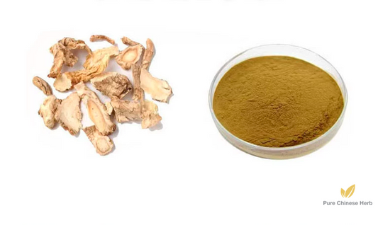 Radix Platycodi Extract 20:1 | Platycodon Root | Jie Geng-Pure Chinese Herb™