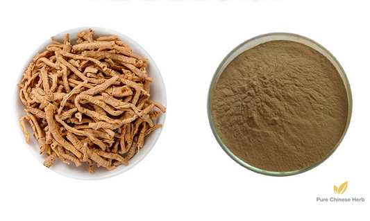 Radix Polygalae Extract 20:1 | Polygala Root Extract | Yuan Zhi-Pure Chinese Herb™