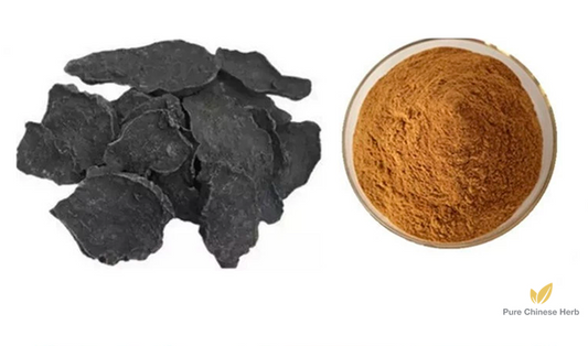 Radix Polygoni Multiflori Extract 20:1 | Tuber Fleeceflower Root Extract | He Shou Wu-Pure Chinese Herb™