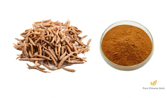 Radix Pseudostellariae Extract 20:1 | Heterophylly Falsestarwort Root | Tai Zi Shen-Pure Chinese Herb™