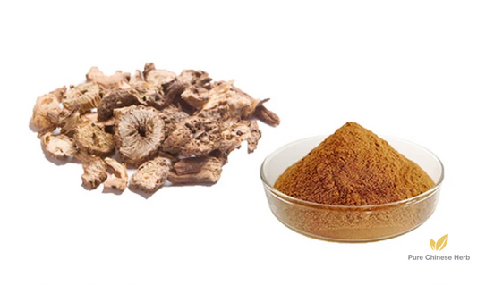 Radix Pulsatillae Chinensis Extract 20:1 | Chinese Pulsatilla Root Extract | Bai Tou Weng-Pure Chinese Herb™
