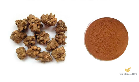 Radix Ranunculi Ternati Extract 20:1 | Ranunculus Ternatus Root Extract | Mao Zhao Cao-Pure Chinese Herb™