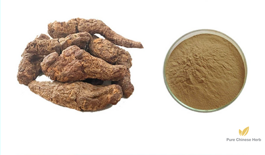 Radix Rehmanniae Extract 20:1 | Concentrated Rehmannia Root Extract | Sheng Di Huang-Pure Chinese Herb™