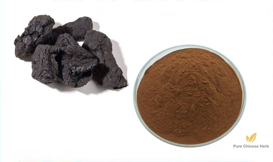 Radix Rehmanniae Preparata Extract 20:1 | Rehmannia Glutinosa Extract | Shu Di Huang-Pure Chinese Herb™