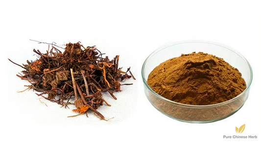 Radix Rubiae Extract 20:1 | India Madder Root | Yin Du Qian Cao-Pure Chinese Herb™