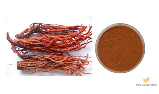 Radix Salviae Miltiorrhizae Extract 20:1 | Salvia Miltiorrhiza Extract | Dan Shen-Pure Chinese Herb™
