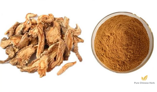 Radix Saposhnikoviae Extract 20:1 | Divaricate Saposhnikovia Root Extract | Fang Feng-Pure Chinese Herb™
