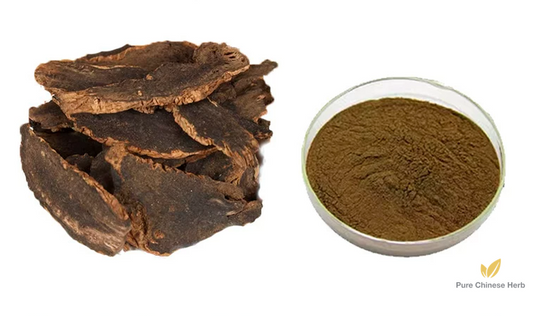 Radix Scrophulariae Extract 20:1 | Figwort Root | Xuan Shen-Pure Chinese Herb™