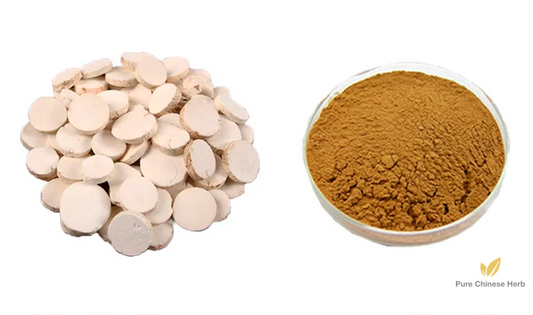 Radix Trichosanthis Extract 20:1 | Mongolian Snakegourd Root Extract | Tian Hua Fen-Pure Chinese Herb™