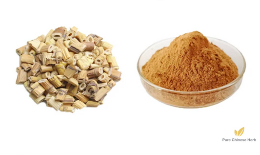 Reed Rhizome Extract 20:1 | Phragmitis Rhizoma Extract | Lu Gen-Pure Chinese Herb™