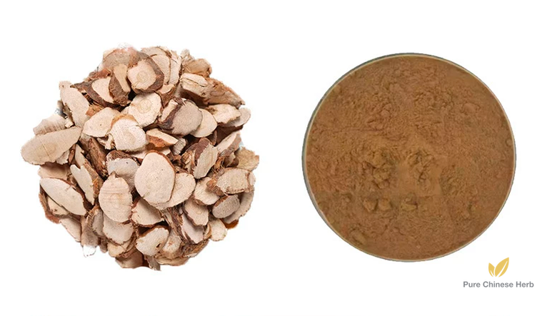 Rhizoma Acori Graminei Extract 20:1 | Grassleaf Sweetflag Rhizome Extract | Shi Chang Pu-Pure Chinese Herb™