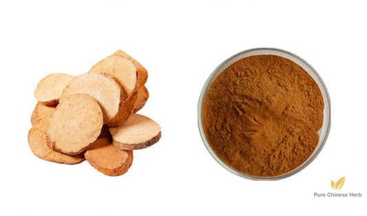 Rhizoma Alismatis Extract 20:1 | Oriental Waterplantain Rhizome Extract | Ze Xie-Pure Chinese Herb™