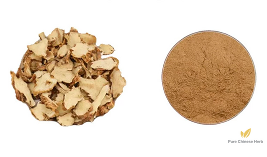 Rhizoma Anemarrhenae Extract 20:1 | Common Anemarrhena Rhizome Extract | Zhi Mu-Pure Chinese Herb™