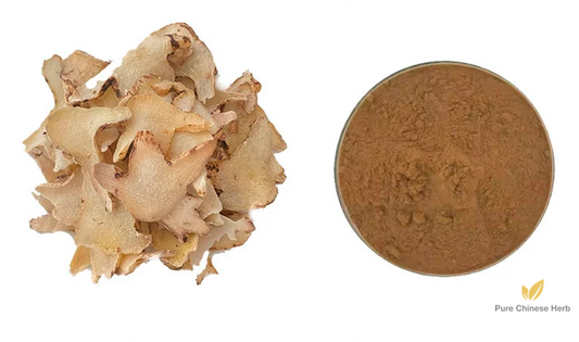 Rhizoma Bletillae Extract 20:1 | Common Bletilla Pseudobulb Extract | Bai Ji-Pure Chinese Herb™
