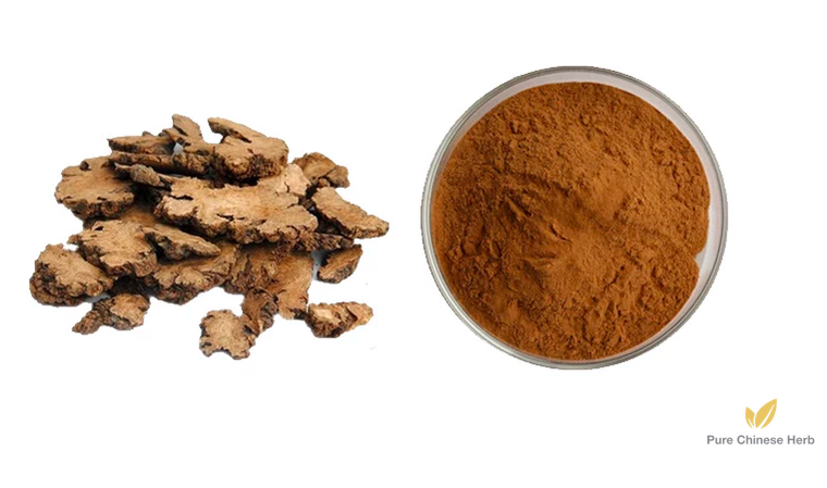 Rhizoma Chuanxiong Extract 20:1 | Szechuan Lovage Rhizome | Chuan Xiong-Pure Chinese Herb™
