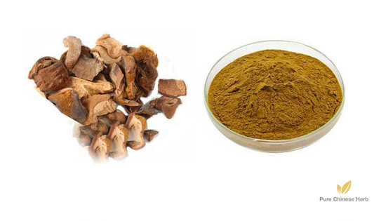 Rhizoma Cibotii Extract 20:1 | East Asian Tree Fern Rhizome Extract | Gou Ji-Pure Chinese Herb™
