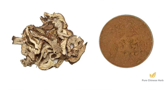Rhizoma Cimicifugae Extract 20:1 | Largetrifoliolious Bugbane Rhizome | Sheng Ma-Pure Chinese Herb™