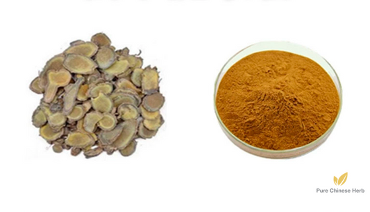 Rhizoma Curcumae Extract 20:1 | Curcuma Zedoary Extract | Yu Jin-Pure Chinese Herb™