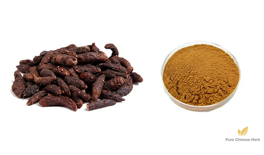 Rhizoma Cyperi Extract 20:1 | Nutgrass Galingale Rhizome Extract | Xiang Fu-Pure Chinese Herb™