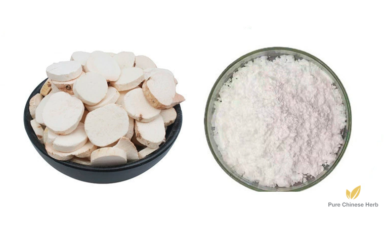 Rhizoma Dioscoreae Extract 20:1 | Common Yam Rhizome Extract | Shan Yao-Pure Chinese Herb™