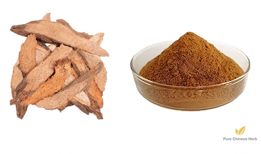Rhizoma Homalomenae Extract 20:1 | Obscured Homalomena Rhizome | Qian Nian Jian-Pure Chinese Herb™