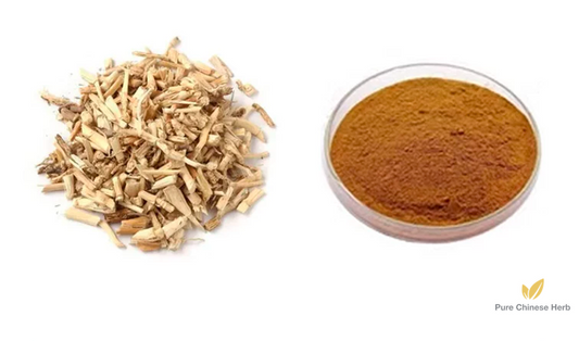 Rhizoma Imperatae Extract 20:1 | Lalang Grass Rhizome Extract | Bai Mao Gen-Pure Chinese Herb™