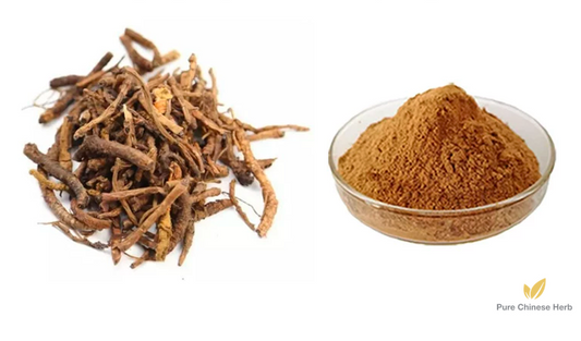 Rhizoma Picrorhizae Extract 20:1 | Figwortflower Picrorhiza Rhizome | Hu Huang Lian-Pure Chinese Herb™