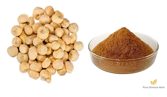 Rhizoma Pinelliae Extract 20:1 | Pinellia Ternata | Ban Xia-Pure Chinese Herb™