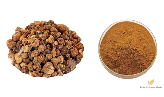 Rhizoma Pleionis Extract 20:1 | Indian Iphigenia Bulb Extract | Shan Ci Gu-Pure Chinese Herb™